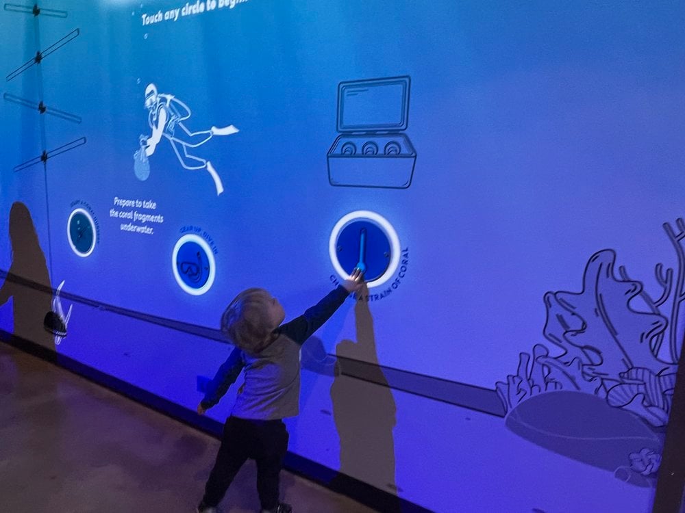 Bridgewater Studio Shedd Aquarium Wild Reef Exhibit